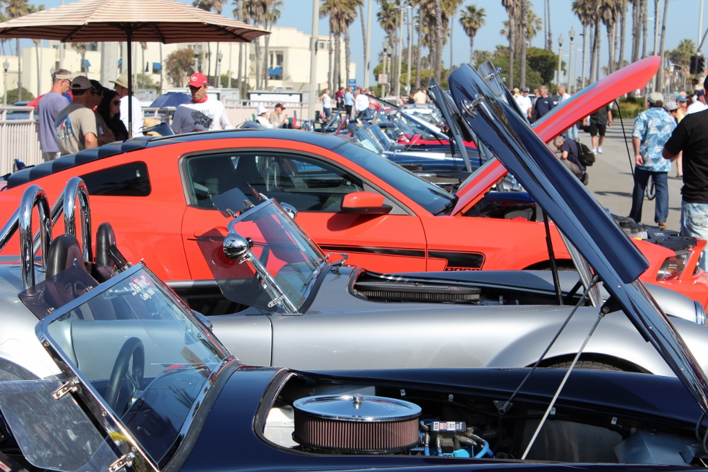 IMG 2430 (1024x683)