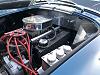 IMG 7181