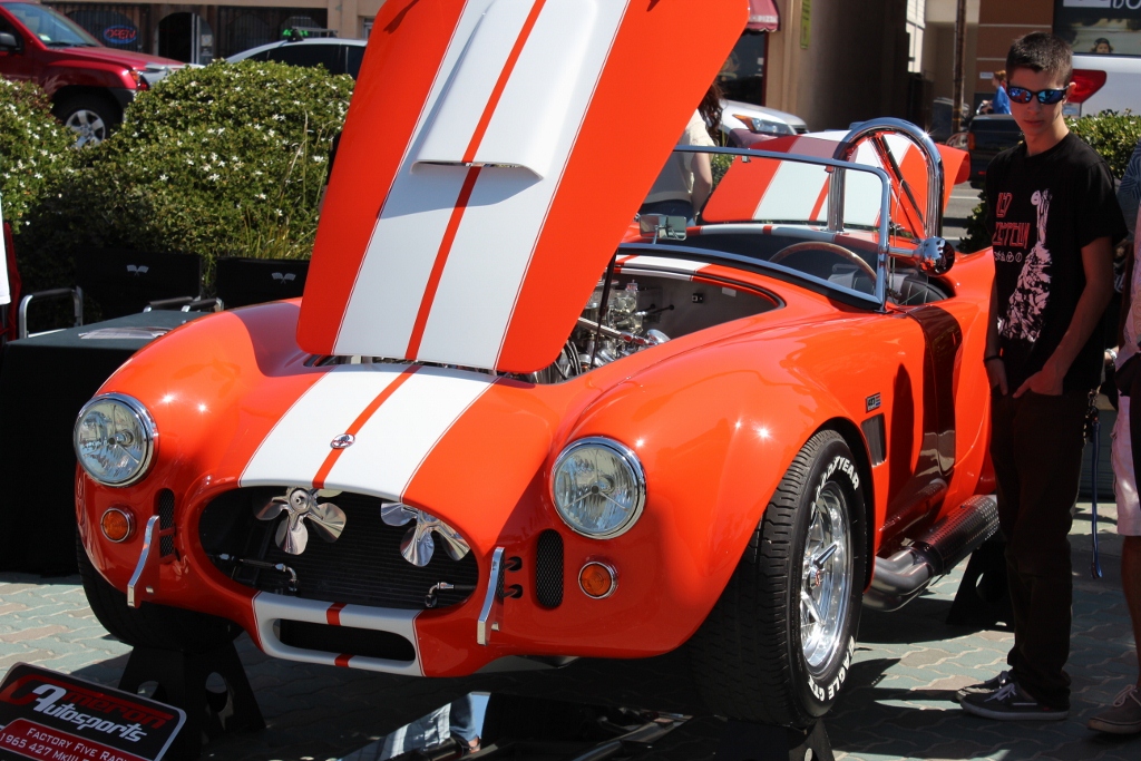 IMG 2484 (1024x683)