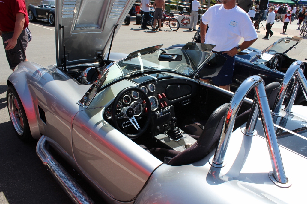 IMG 2490 (1024x683)