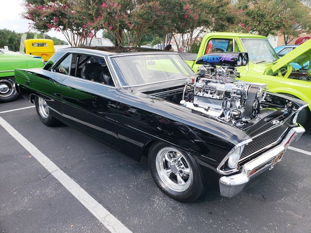 cruise 1