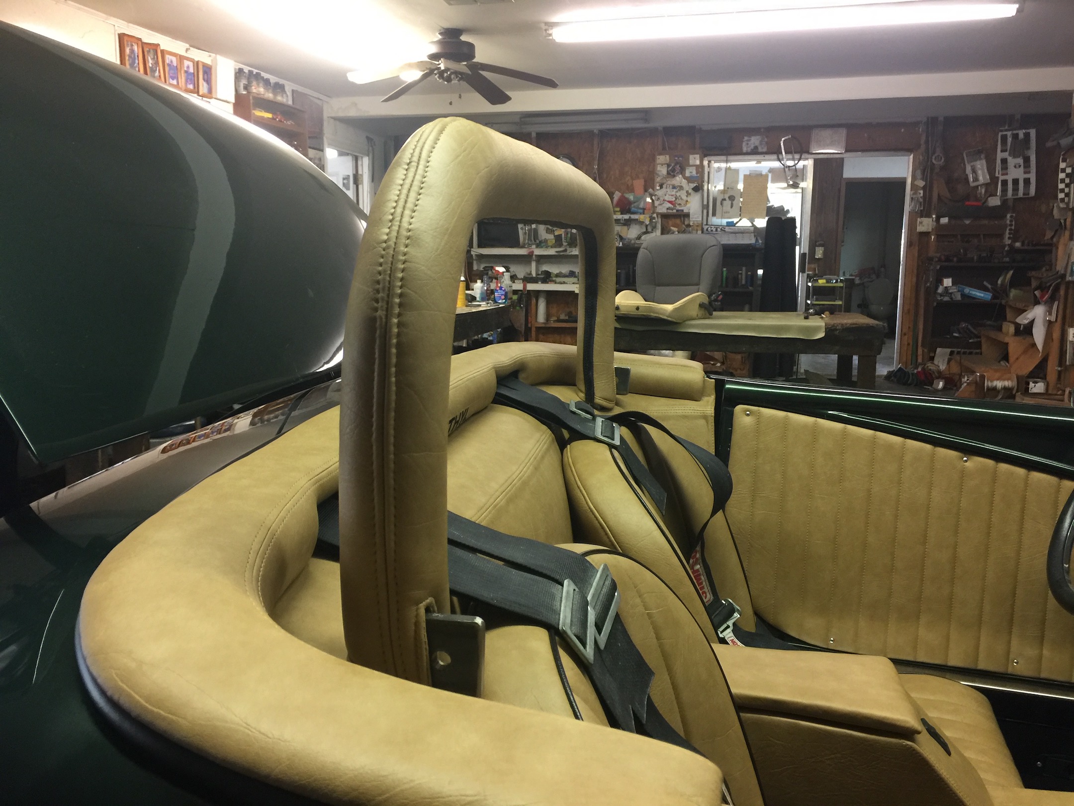 Finished Interior Leo's Roll Bar Padding