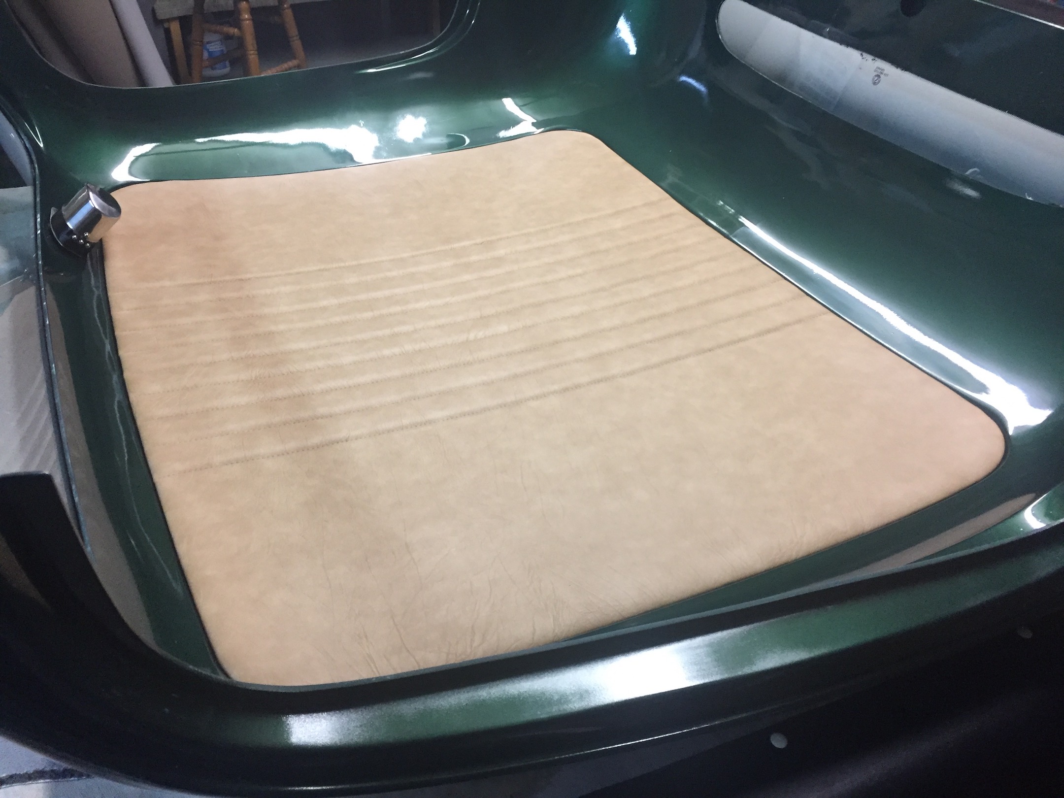 Roof Liner, Interior Leo's
