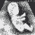 Kiwiracer's Avatar