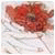 myrbrdcom's Avatar