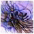 tuctincasticy's Avatar